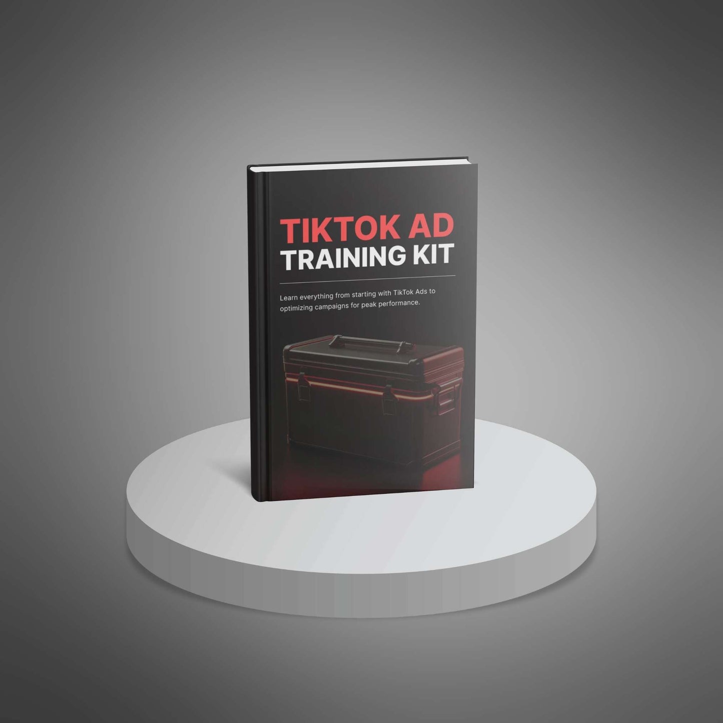 TikTok Ad Training Kit E-book + Video